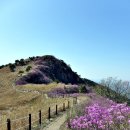 화왕산 티스토리