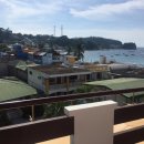 베누스안경 이미지