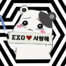 베이미 - 거제시 아주동 | 베이미