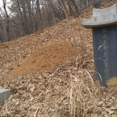 비천솔밭 이미지