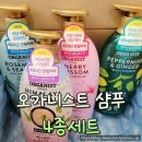 핑크 체리 | 오가니스트 샴푸 4종 비교 후기 (체리블라썸/페퍼민트/로즈마리/핑크솔트) 솔직 리뷰