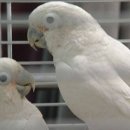 크레용호프 이미지