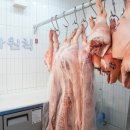 육가원칙 - 용인시 기흥구 흥덕2로87번길 18 | 육가원칙
