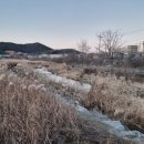 발안천 산책로 이미지