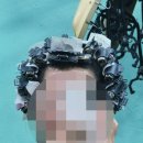 파스텔헤어샵 - 이천시 | 파스텔헤어샵