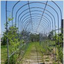 이천왕가갈비 이미지