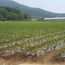 (주) 서진 이미지