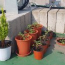 왕우농장 이미지