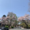 구내기 이미지