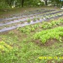 지리산산장민박 이미지