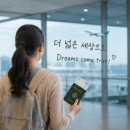 대학생부터 직장인까지, 왜 다들 '토익 점수'에 목숨 거는지 솔직 후기