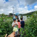 마령초등학교 이미지