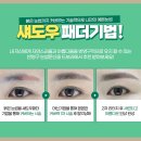 눈썹예쁘니 네이버블로그