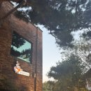 이국정서 | 고양 행주산성 디저트 맛집 애견동반 카페 &lt;파스토랄&gt; 솔직후기(pastoral뜻,메뉴할인,주차정보)