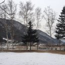 설하관광농원 이미지