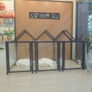 로로 동물병원 이미지