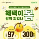 옵션 이미지