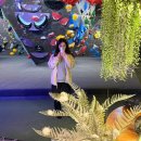 직장인 여자 운동 추천: 클라이밍파크 강남점 클라이밍 후기