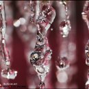 새롬이네집 이미지