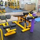 웰메이드 짐 이미지