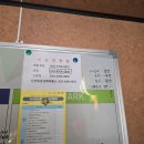 설리 낚시터 네이버블로그