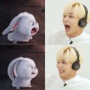 두 발로 걷는 9월 중 일부