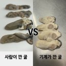 박신 | 남해생굴 싱굴벙굴 / 남해 프리미엄 생굴 구매 후기