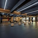 성남 탑 복싱 이미지