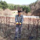 여주-0485 Daum카페