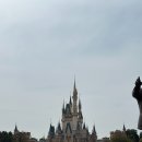 위즈캐슬 | 도쿄 디즈니랜드 디즈니씨 비교 티켓가격 DPA패스 오픈런후기