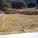 동호리농장 이미지