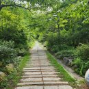 한국정비 | 아직은 조금 정비가 필요해 보이는 국립한국자생식물원 솔직후기