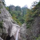 공룡발톱 이미지