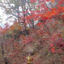 금적가든 이미지