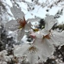 숲속&펜션 이미지