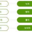 코코시에나 이미지