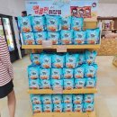 뽀빠이목장 | 강원도 평창 가볼만한곳 양몰이 공연 대관령 삼양 라운드힐 양떼목장