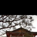 원고매로 2번길 이미지