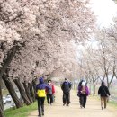 금호강10 이미지