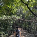 서봉산 산림욕장 2 | 경기도 화성 서봉산 등산코스 소개 – 초보자도 부담 없는 힐링 산행