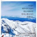 ■제주도 특별산행 일정 안내■ 이미지