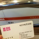 멍쌀롱 이미지