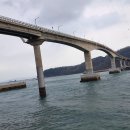 덕적도·소야도 Daum카페