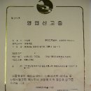정애식품