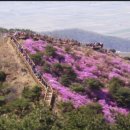 신촌2548 이미지