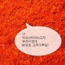 이장네농산물 Daum카페