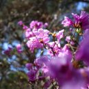 인천의 갯벌 이야기 이미지