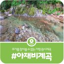 용소계곡 민박 | [가평 아재비계곡] 가평천 최상류 적목리 아재비계곡 첫 방문후기 (2026)