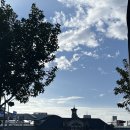 국태슈퍼 | [타이중 여행] 2일차: 까르푸/만/BTB/푸딘왕/국태양주