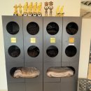 어빌리티휘트니스 이미지